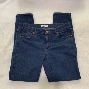 Ann Taylor LOFT Modern Skinny Blue Jeans Sz 8 29